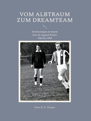 cover image of Vom Albtraum zum Dreamteam